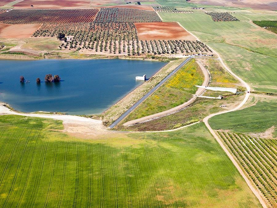 Balsa Reforestación El Rosario