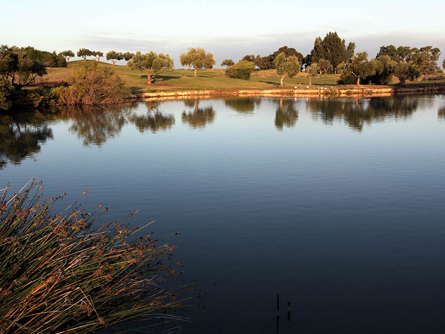 Montecastillo Golf