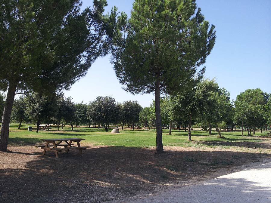 Parques Urbanos y Forestales